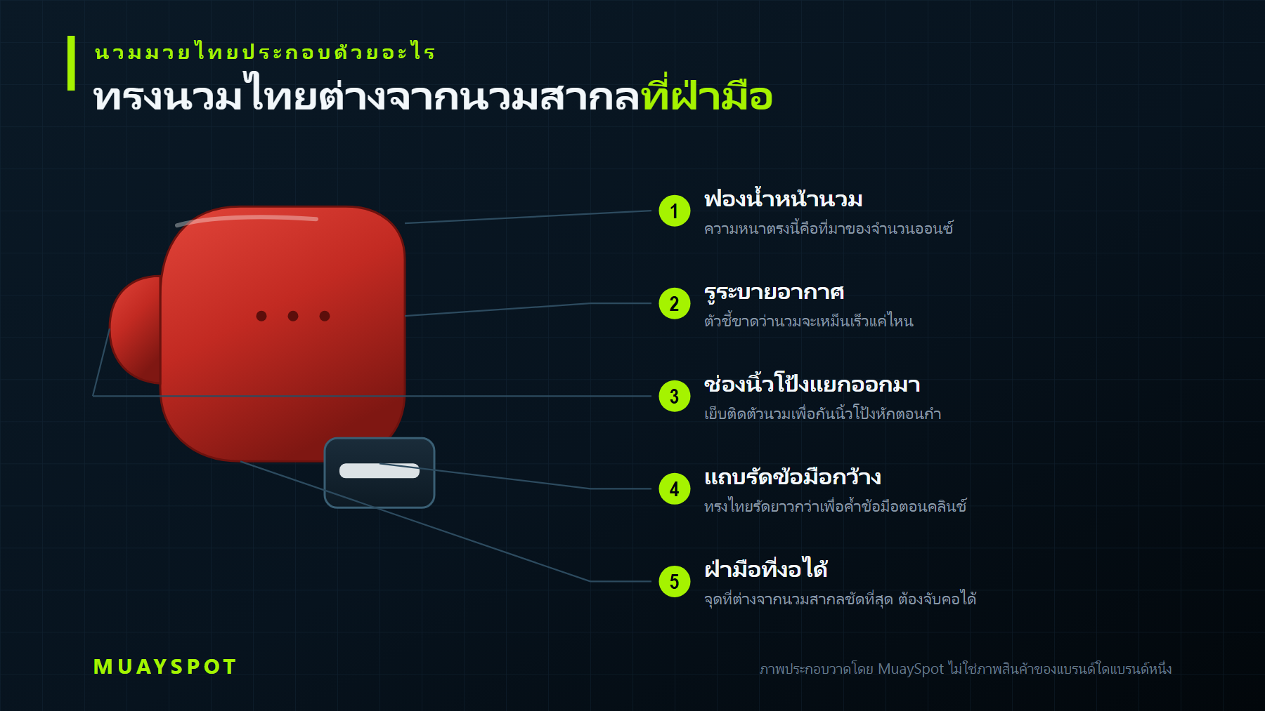 โครงสร้างนวมมวยไทยและการกระจายแรงกระแทก