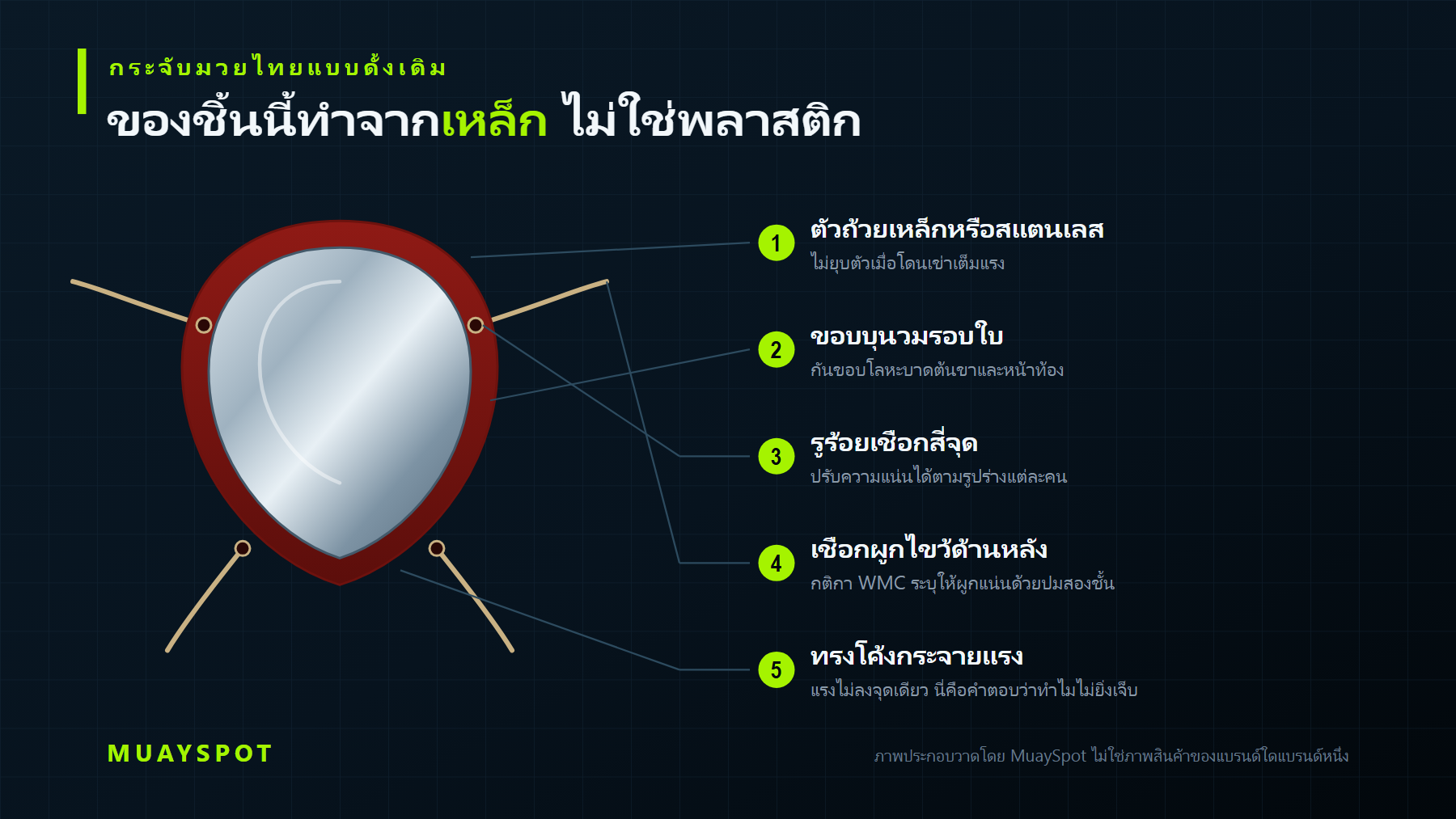 โครงสร้างและการทำงานของกระจับนักมวย